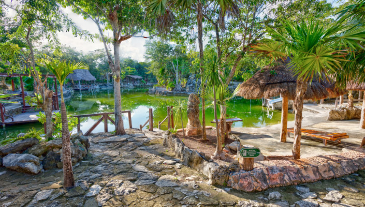 Tomorrowland en Tulum: ¿Cómo llegar al cenote Dos Osos donde será el festival?
