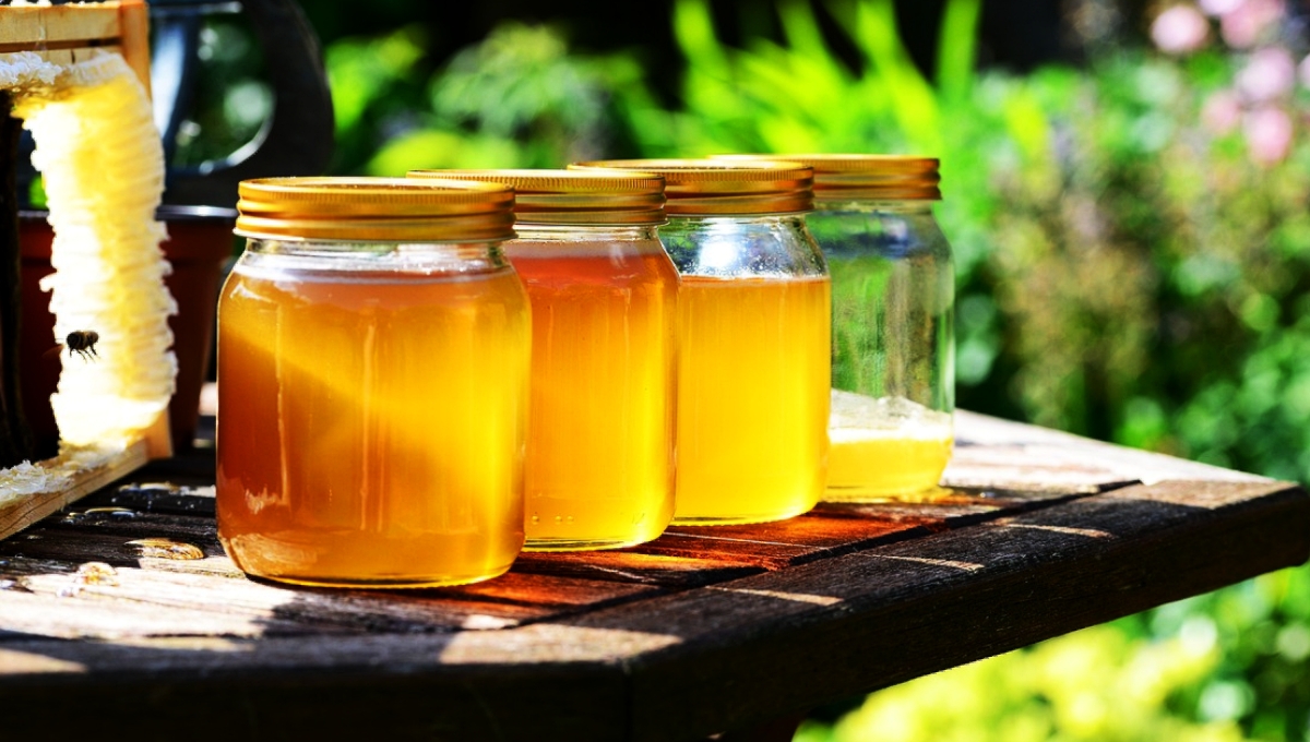 La feria de la miel se llevará a cabo el próximo 2 de septiembre en la Plaza Grande en Mérida