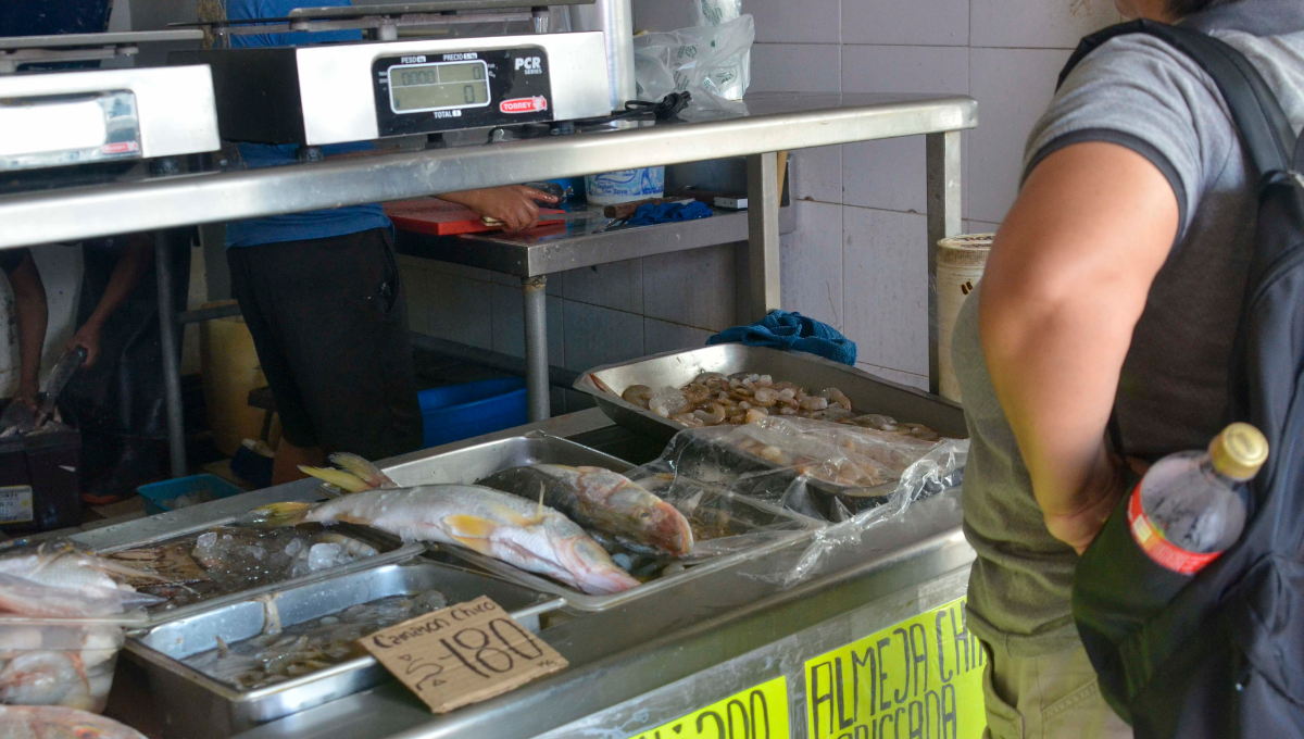 Carne de res, por las nubes en Cancún: Pescado y cerdo 'salvavidas' de la economía familiar