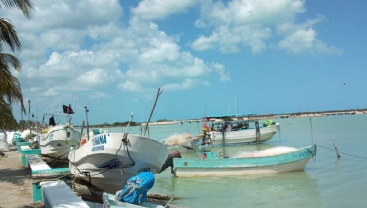 Retención fiscal del SAT afecta a pescadores en Isla Aguada, Campeche