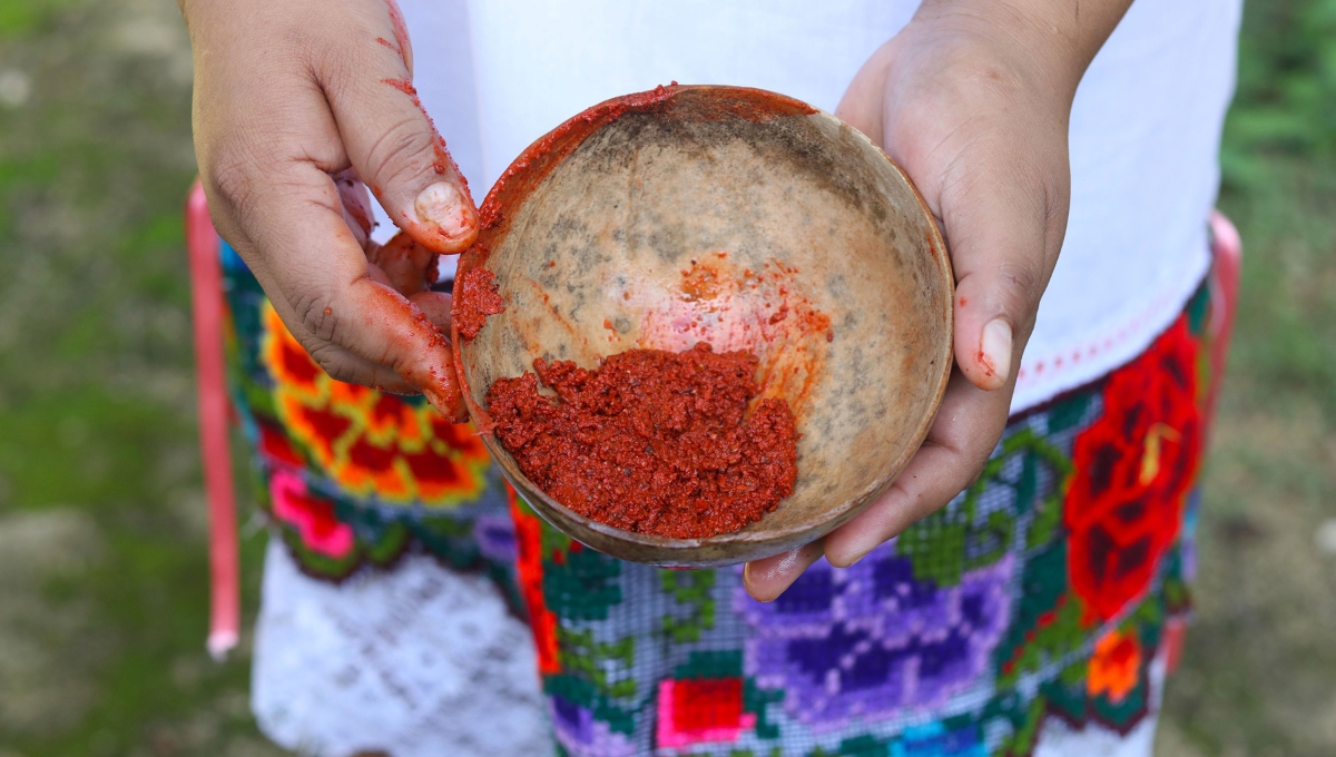 ¿Cómo se hace el achiote, el sabroso condimento de Yucatán?