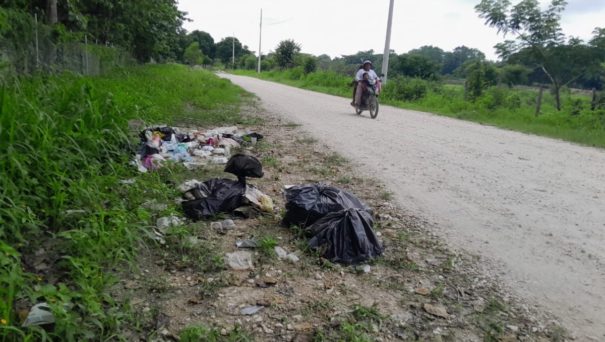 Escárcega, basurero clandestino; animales muertos y desechos cubren las calles del municipio