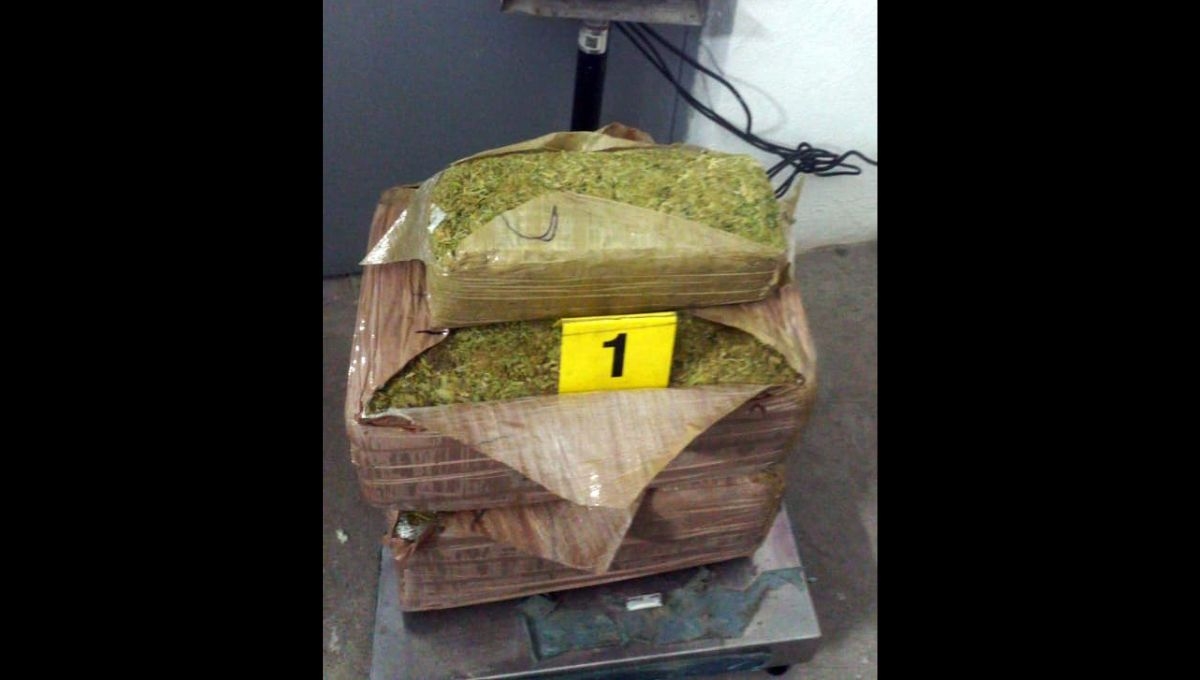 Guardia Nacional asegura en el aeropuerto de San Luis Potosí 73 kilos de marihuana
