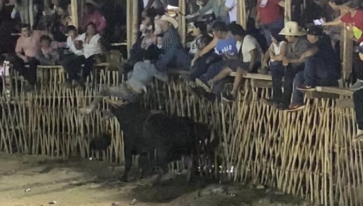 Vaquero y su caballo resultan heridos por un toro durante un torneo de lazo en Sucilá