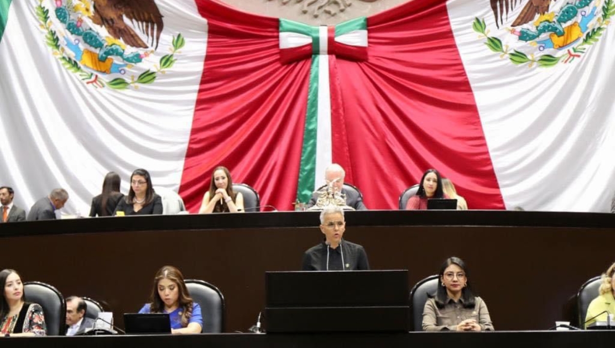 Federica Quijano buscaría la gubernatura de Yucatán en las elecciones de 2024