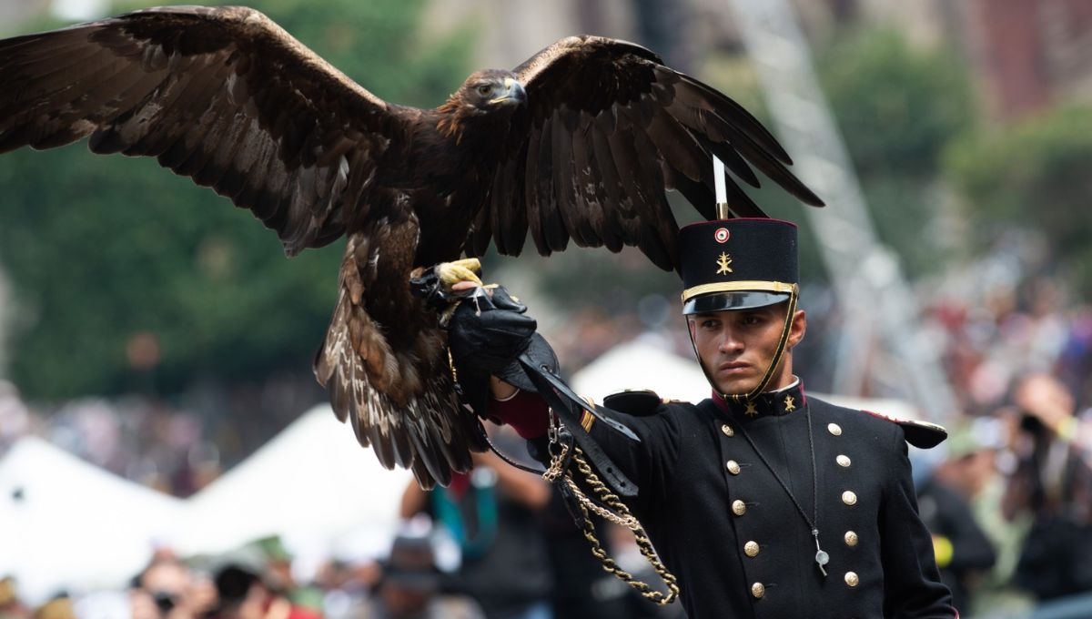 Así se vivió el Desfile Cívico Militar en la Ciudad de México