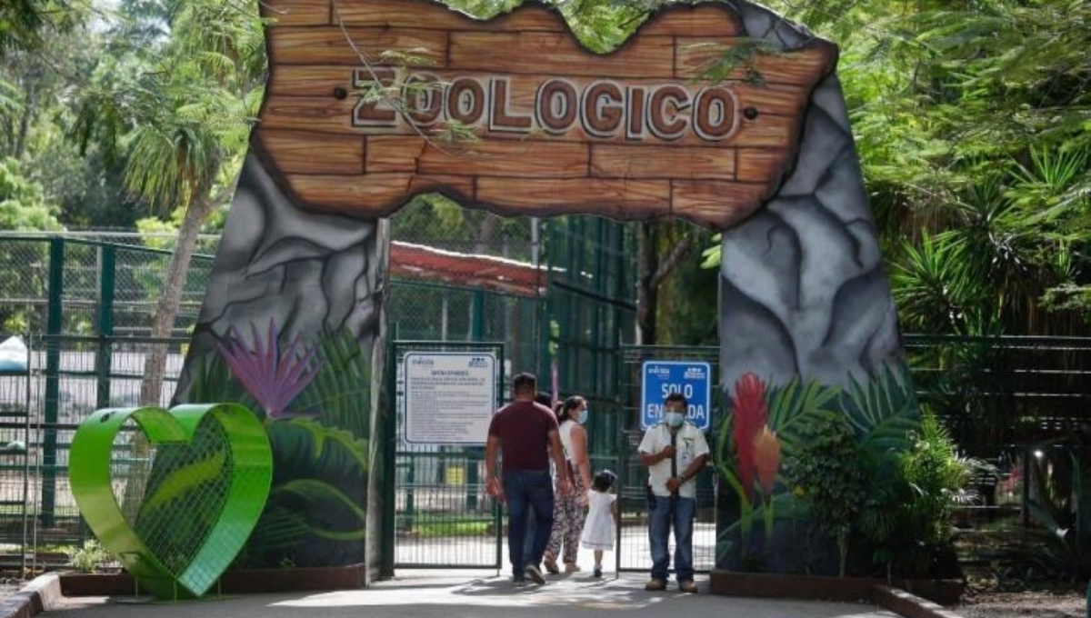 ¿Cuánto cuesta la entrada al zoológico de Mérida y qué animales hay?