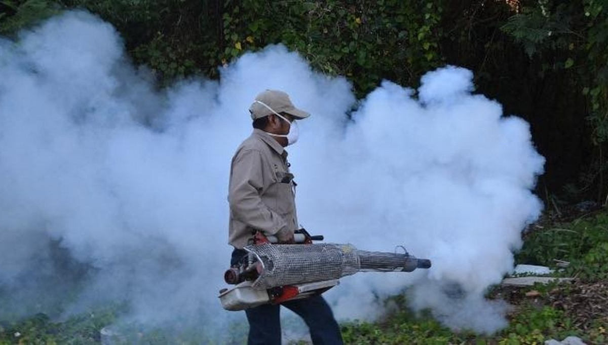 Dengue en Quintana Roo: Secretaría de Salud deja sin fumigar a comunidades de la Zona Maya