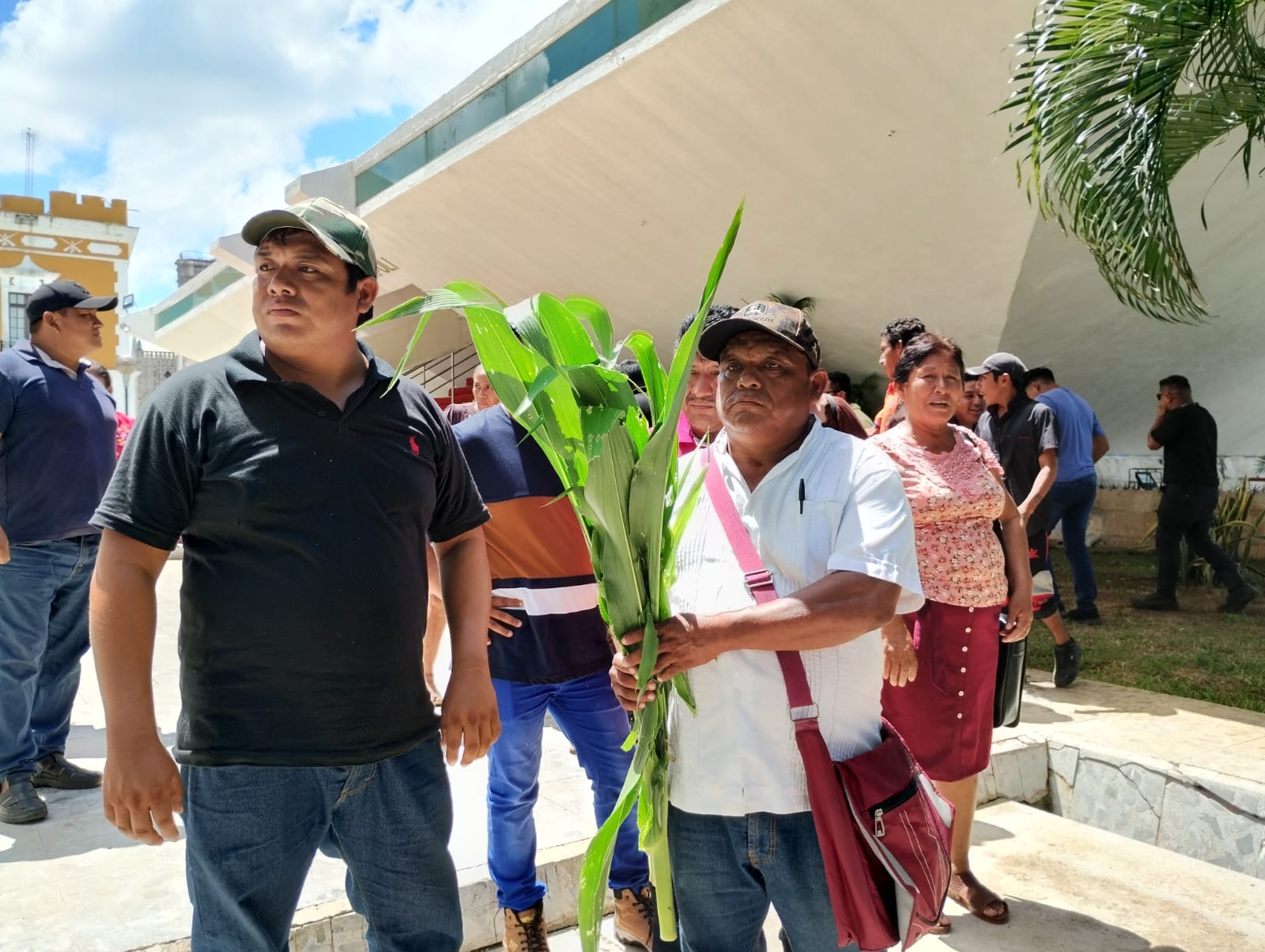 Campesinos de Campeche piden la intervención del Gobierno para ayudarlos con las plagas