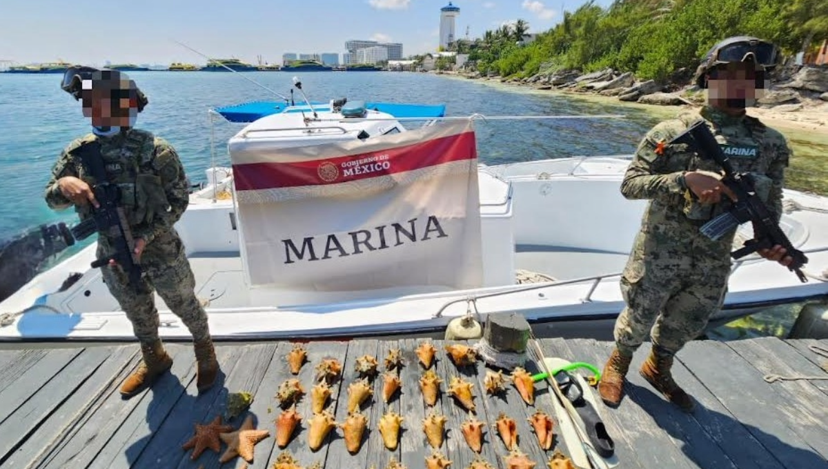 Los marinos incautaron 31 ejemplares vivos de la especie rosa