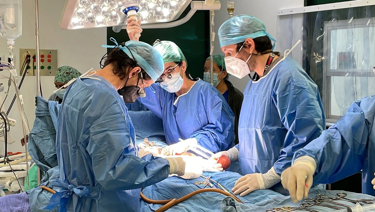 Los órganos que se trasplantan en el IMSS son: riñón, hígado, corazón, pulmón y páncreas