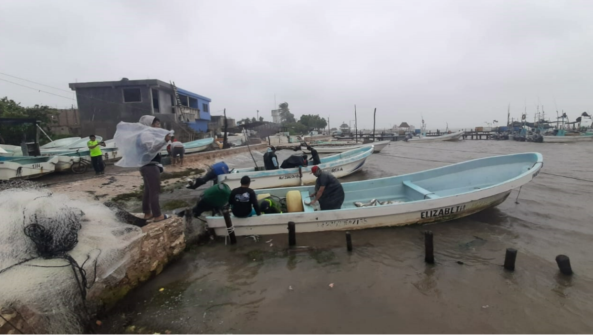 En Holbox, crisis pesquera debido a escasez de producto y bajos precios