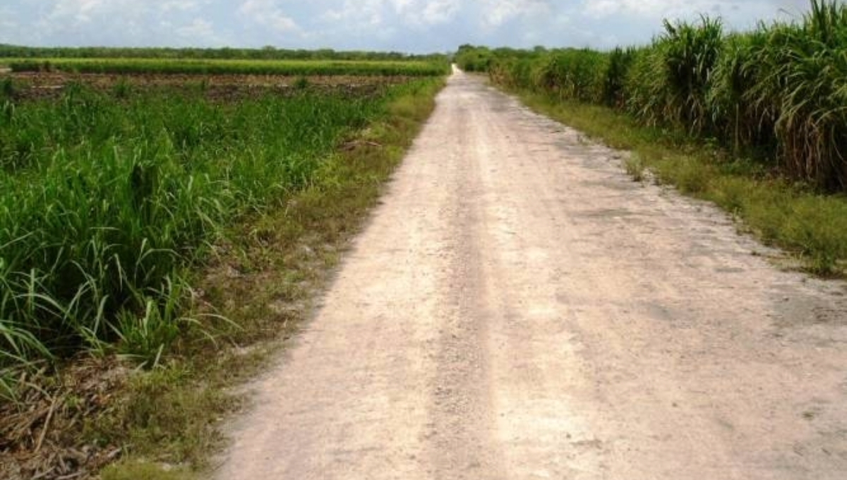 En Campeche, Gobierno Federal invertirá 2 mil 500 mdp para construir caminos sacacosechas