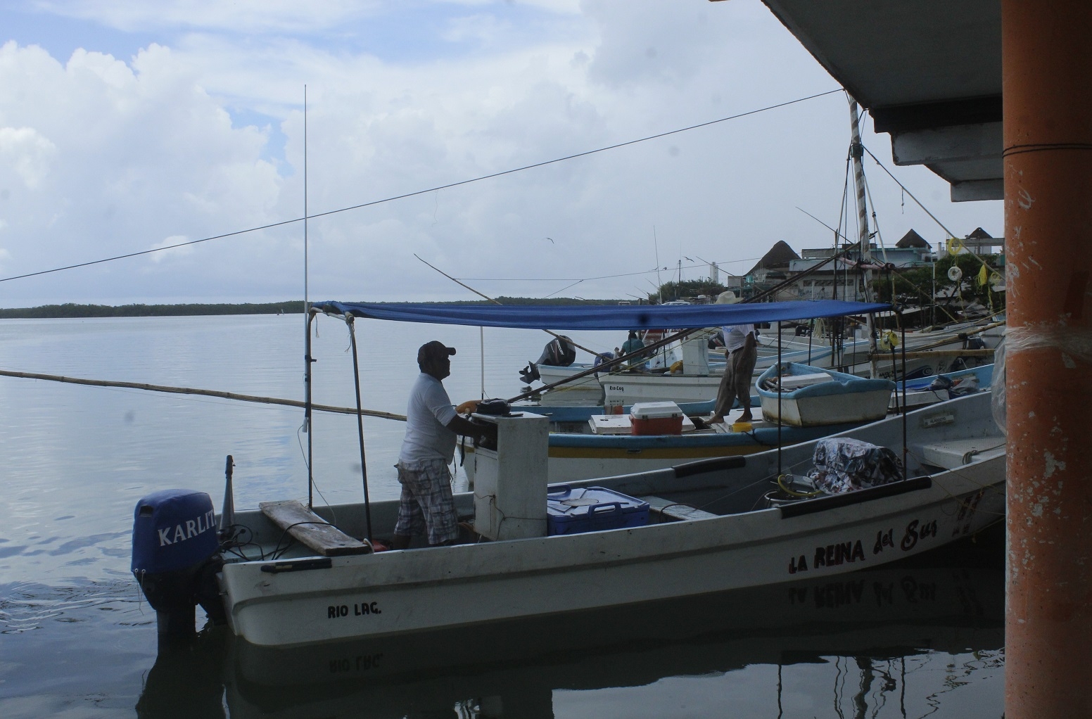 Pescadores de Yucatán venden hasta en 100 pesos el kilo de pulpo para 'sobrevivir'