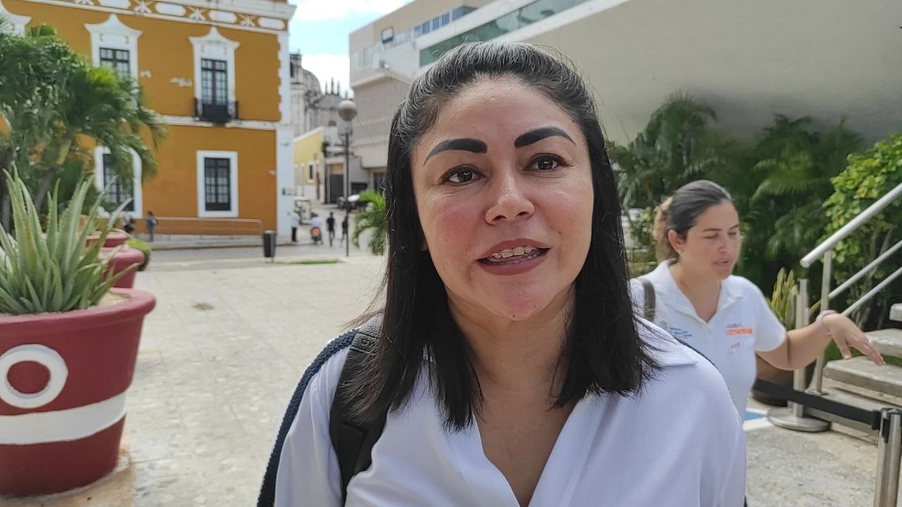 Diputada independiente de Campeche promueve iniciativas con impacto en los sectores sociales