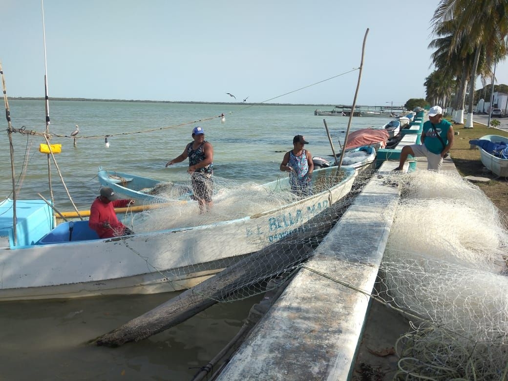 Pescadores de Sabancuy, Campeche, reportan buena captura luego del Frente Frío No. 25
