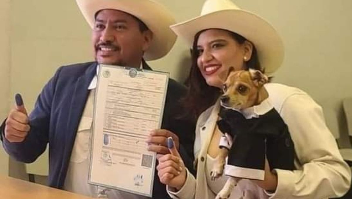 Este perrito chihuahua fue testigo de honor en la boda de sus dueños
