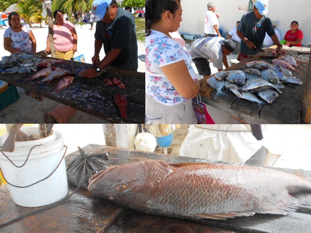 Restaurantes de Isla Mujeres recurren a productos foráneos ante la escasez de pesca local