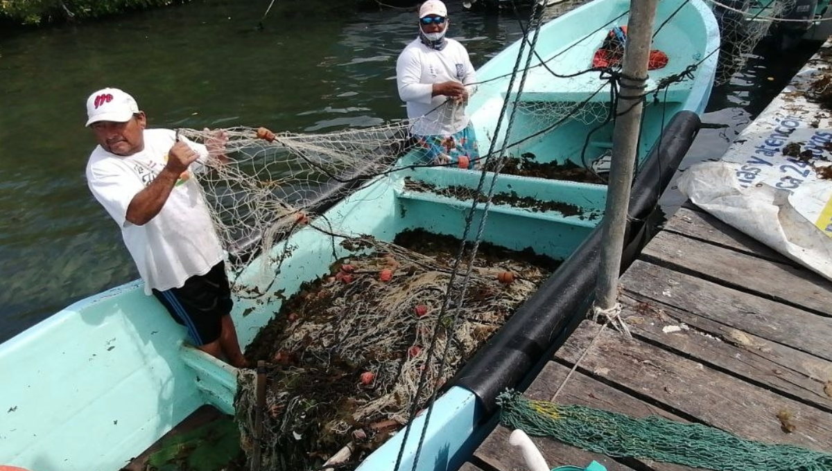 Pescadores de Isla Mujeres perderán más de 4 mdp por el Frente Frío