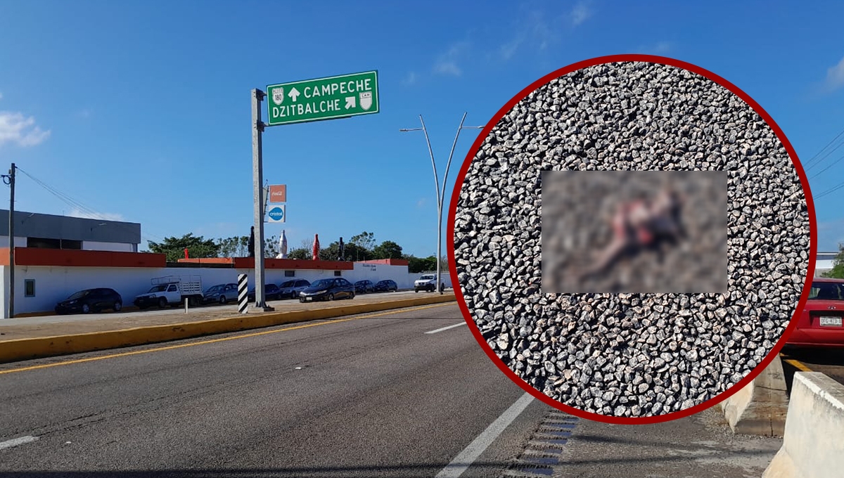 Ciclista muere atropellado en la vía Mérida-Campeche