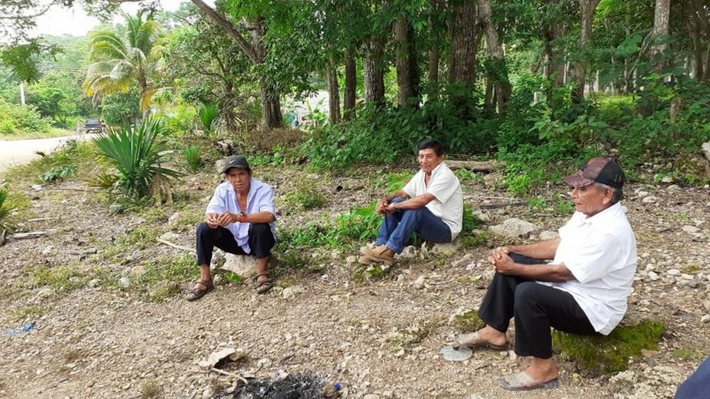 Campesinos de José María Morelos, Quintana Roo, desesperados por las pérdidas de sus cosechas