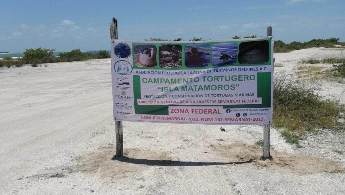 Campamento tortuguero de Ciudad del Carmen critica doble permiso para el cuidado de la anidación