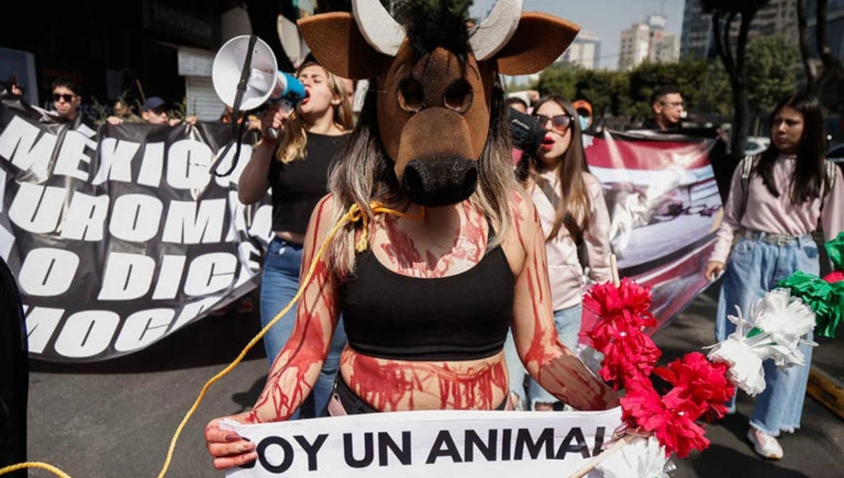 Los manifestantes colocaron pancartas con imágenes de tauromaquia y leyendas como "No a las corridas de toros". Dos de ellos se colocaron máscaras y se pintaron de rojo para aparentar sangre 

