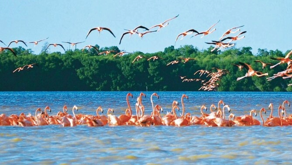 Esta es la mejor playa de Yucatán para actualizar tu Instagram este 2024