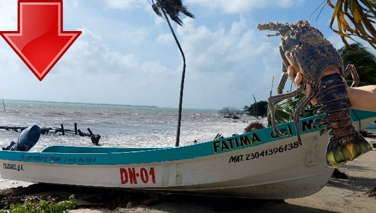 Pescadores de Felipe Carrillo Puerto, en 'crisis' por la baja del precio de la langosta