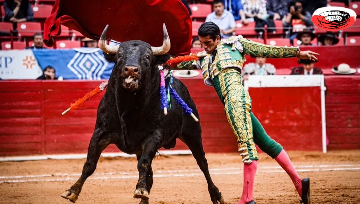 Plaza México: ¿Qué pasará con las corridas de toros?