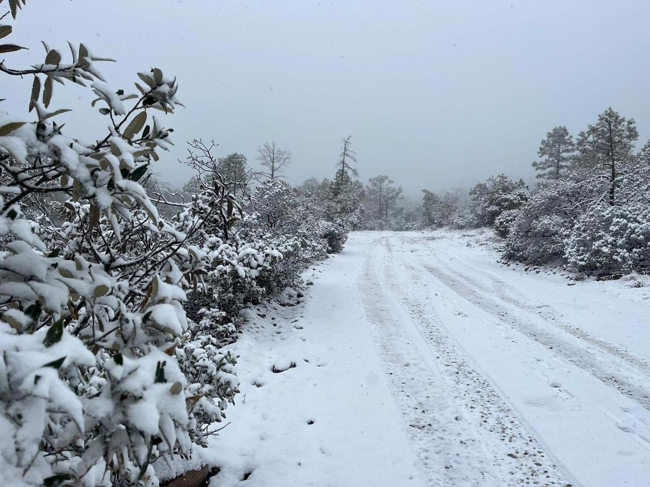 Frente Frío 24: Chihuahua y Sonora se 'cubren de blanco' por caída de nieve