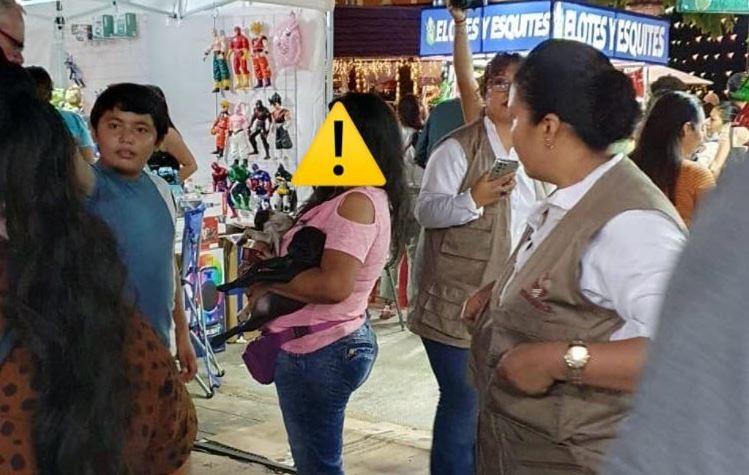 Detectan venta ilegal de animales durante el Paseo de Reyes en Campeche