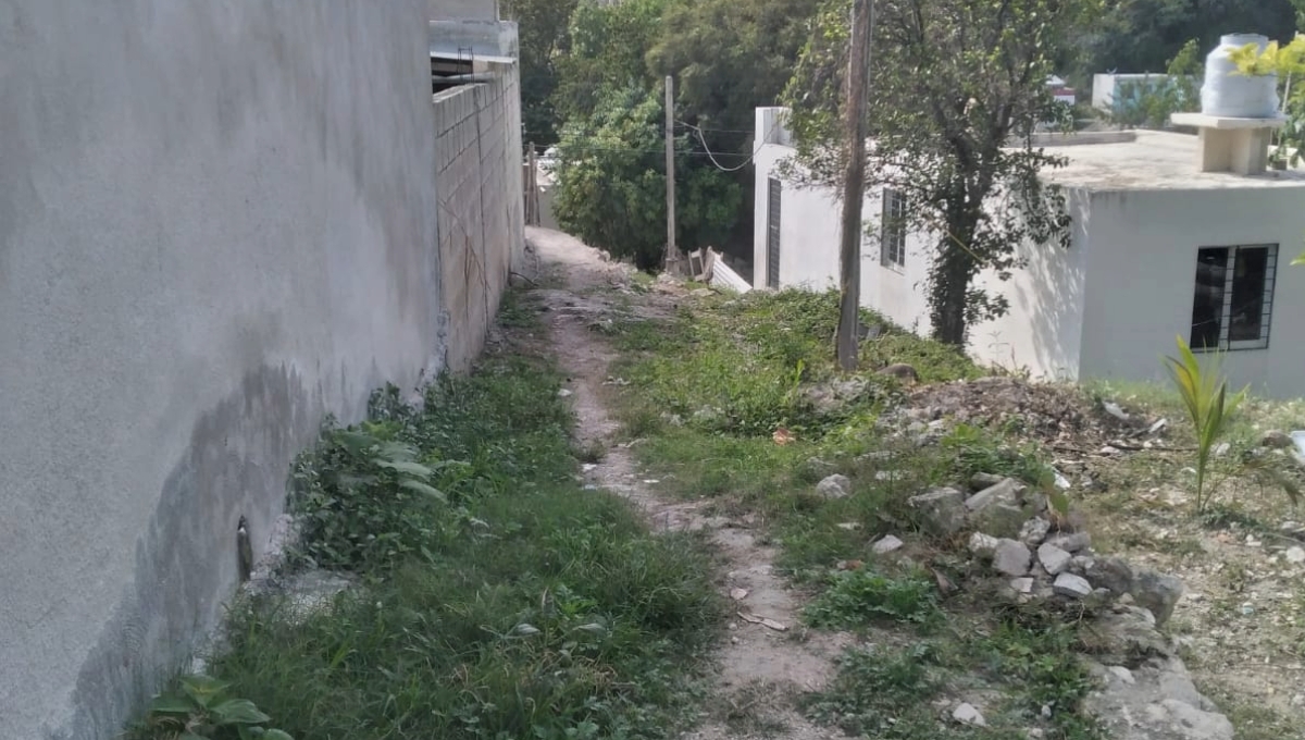 Andador de Campeche, entre maleza y falta de luz; vecinos piden al Ayuntamiento 'una manita de gato'