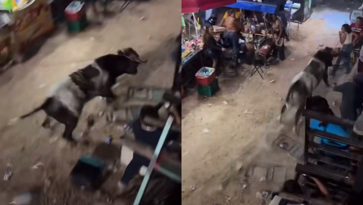 Toro se escapa del ruedo en la feria de Timucuy: VIDEO