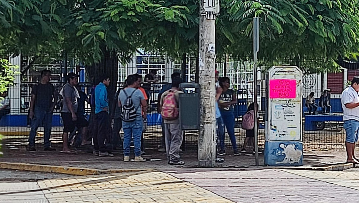Obreros de Playa del Carmen sufren estafas por parte de contratistas