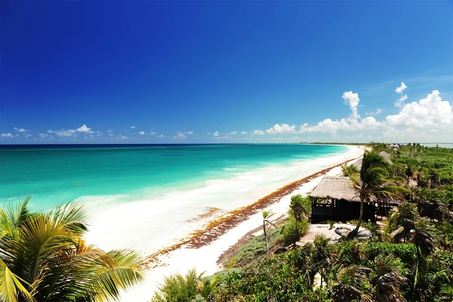 ¿Cuántas Áreas Protegidas Naturales tiene Quintana Roo?