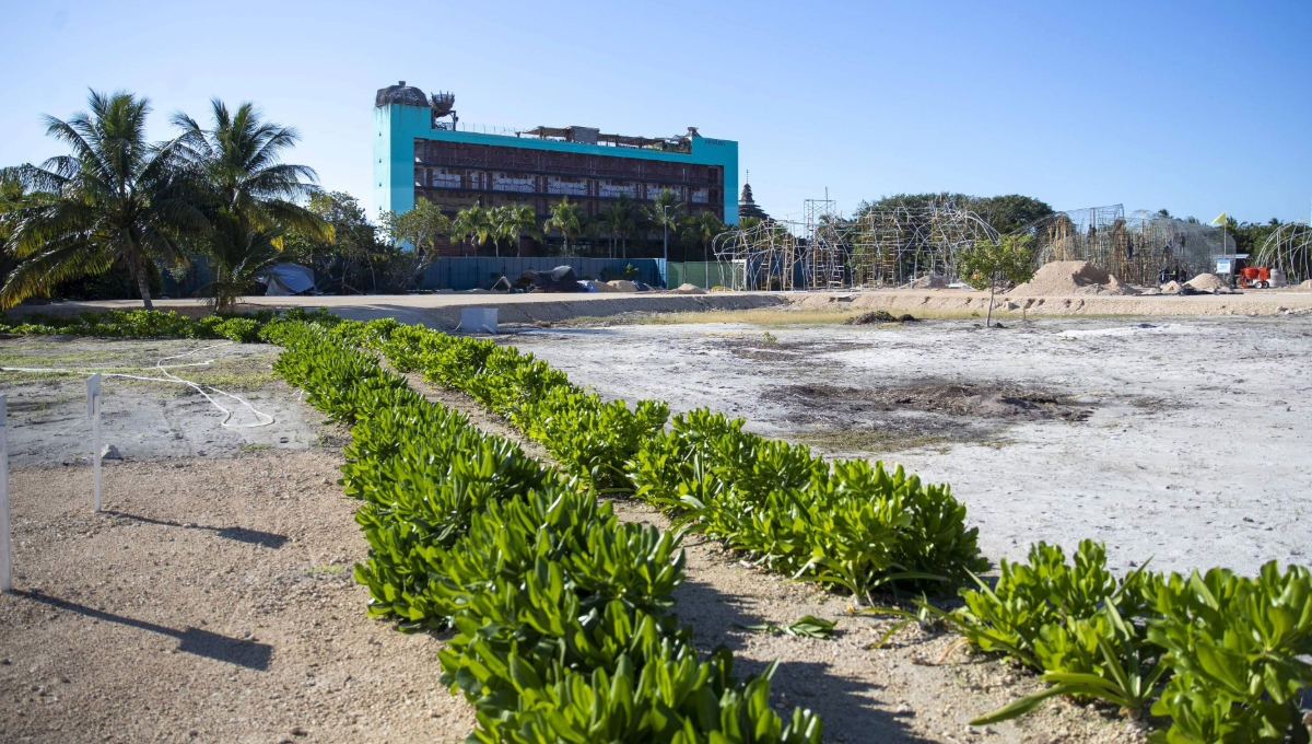 Construirán hotel en el Área Natural Manglares de Nichupté en Cancún, pese a violación ambiental