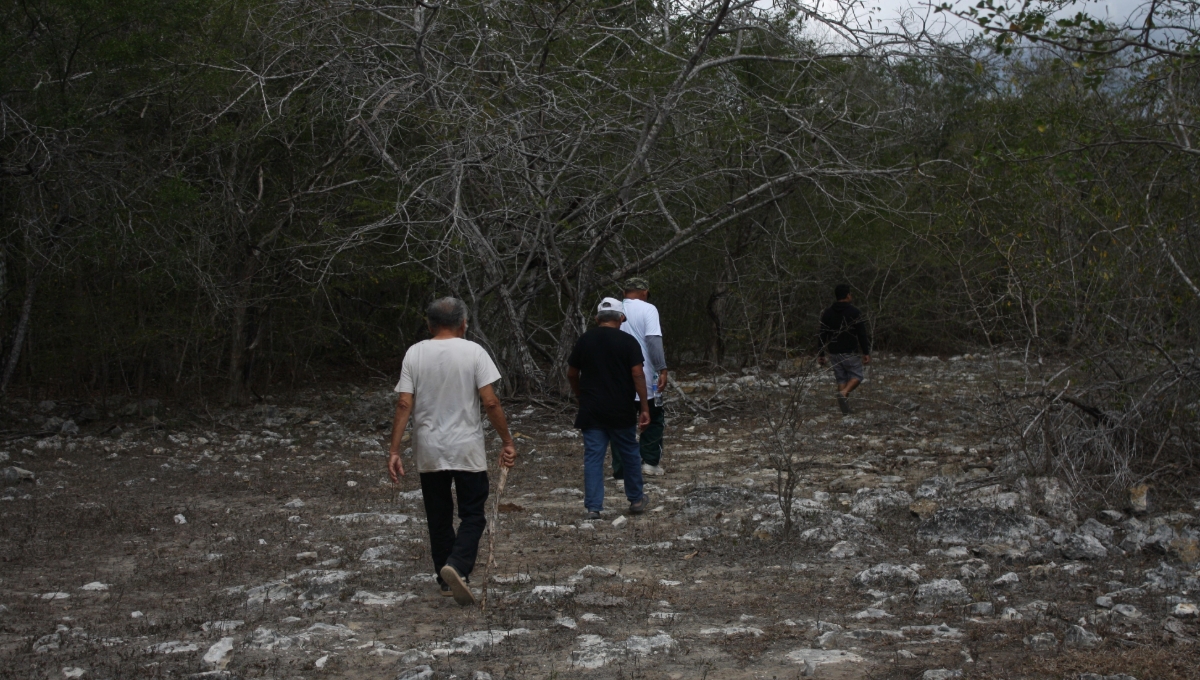 Los campesinos encontraron un cenote y dos aguadas entre las tierras que Kekén intentaba despojar