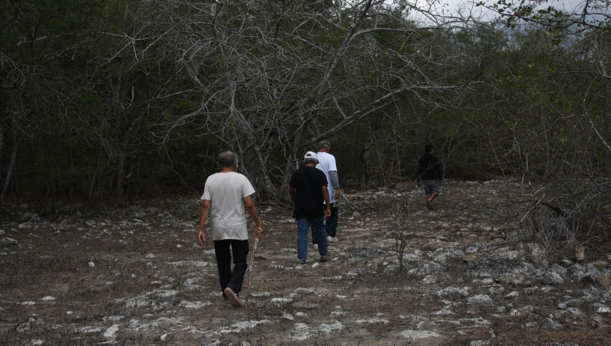 Ejidatarios de Celestún celebran triunfo ante Kekén; recorren 8 kilómetros de tierras recuperadas