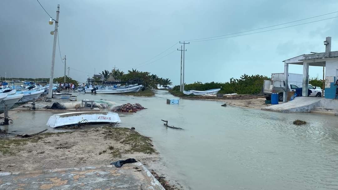 Destrucción de los manglares, la causante de las inundaciones en la costa de Yucatán: Biólogo