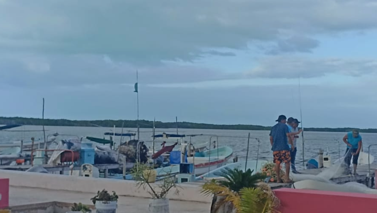 Pescadores de Yucatán enfrentan la veda del mero y pulpo con la pesca de pacotilla