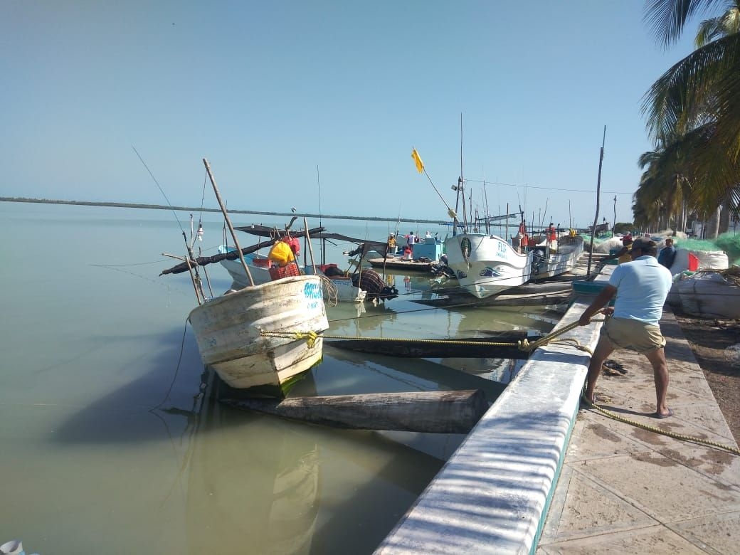 Frente Frío 34: Ribereños suspenden pesca hasta nuevo aviso en Sabancuy, Campeche