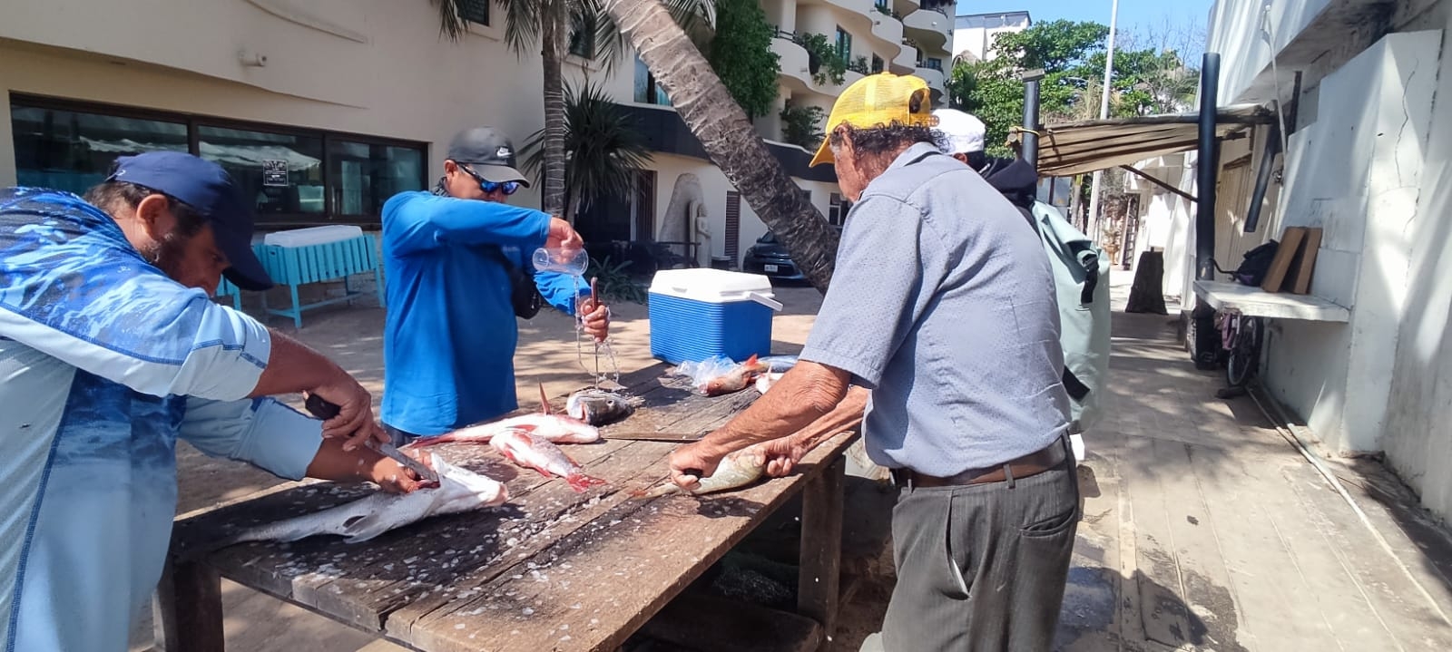 Frentes Fríos afectan la actividad pesquera en Quintana Roo