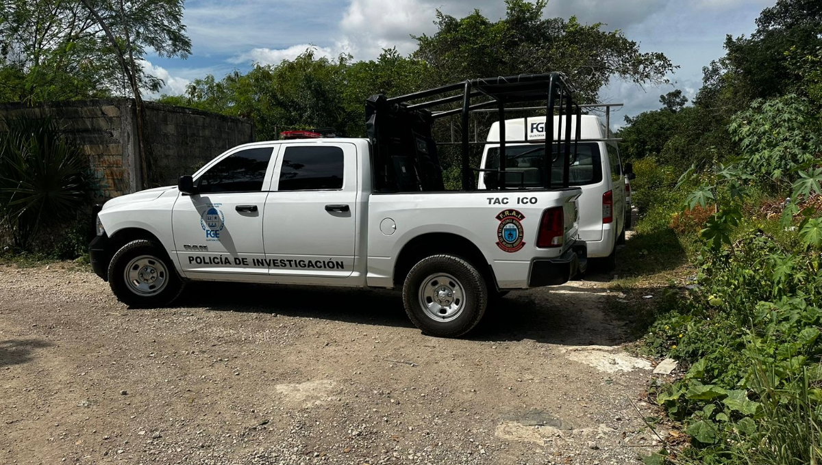 Hallan cadáveres en una fosa clandestina en ejido Alfredo V. Bonfil en Cancún