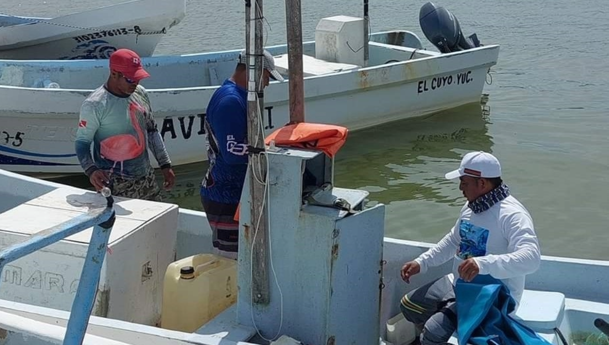 Yucatán suma 11 pescadores desaparecidos en lo que va del 2024; cinco no han sido hallados