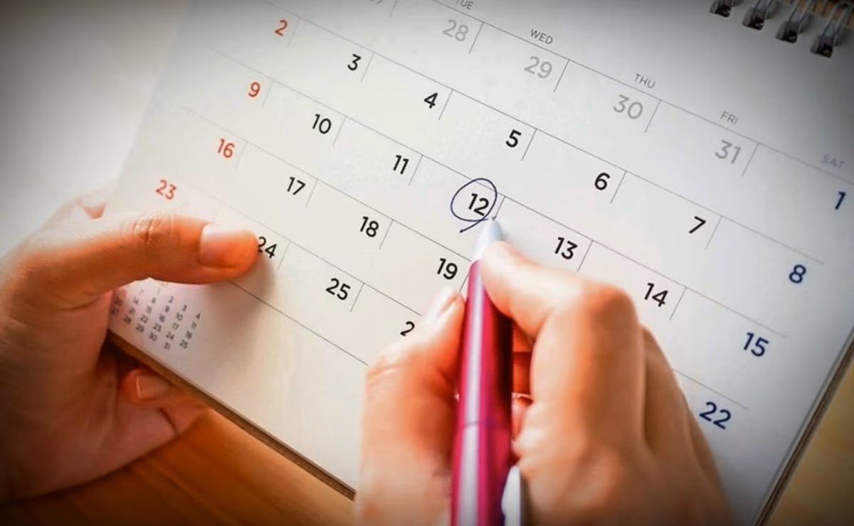 Calendario febrero 2024: Estos son los días de descanso obligatorio según la SEP y la LFT
