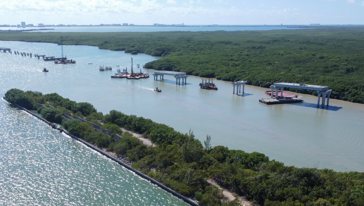 Cancún: Anuncian restauración de 306 hectáreas de mangle en la Laguna Nichupté