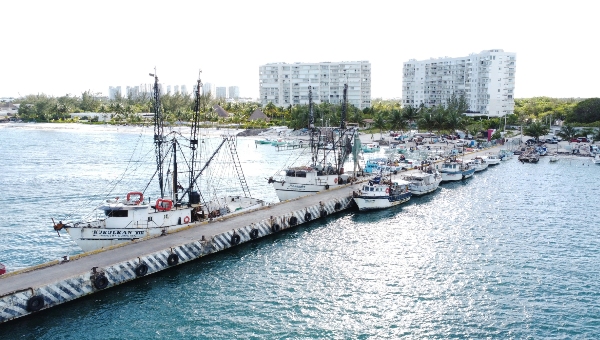 Semarnat rechaza construcción de hoteles y clubes de playa en Quintana Roo