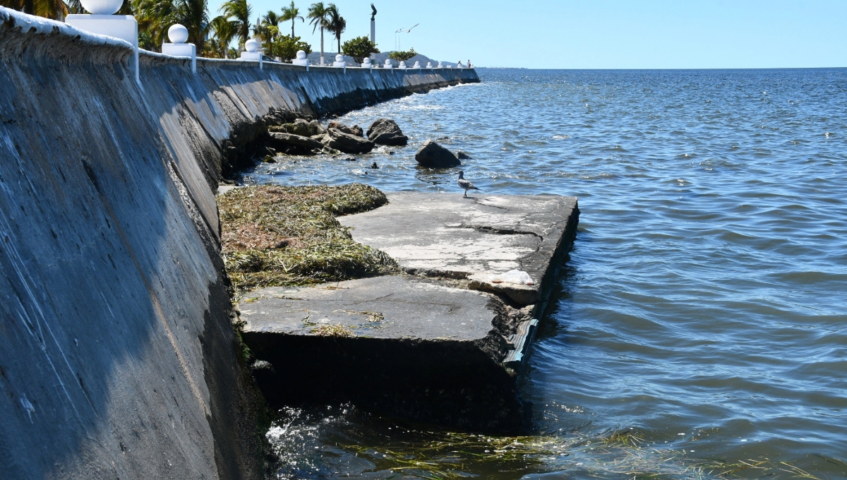 Ayuntamiento de Campeche, responsable de la contaminación en el mar: Conagua