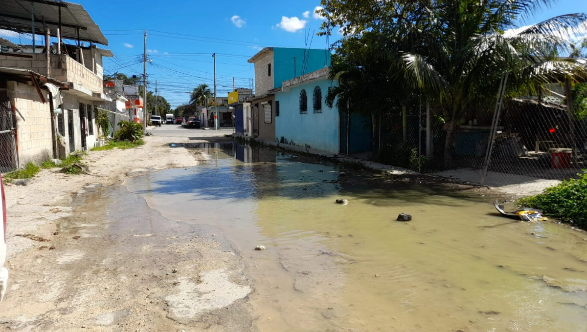 Consecuencia de los malos olores y mosquitos que generan los constantes encharcamientos de sus calles